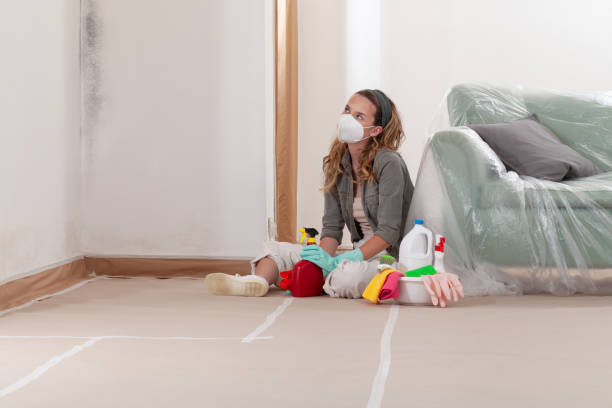 Reliable Mold Remediation contractor in Lewisville, NC by Cheap Mold Removal